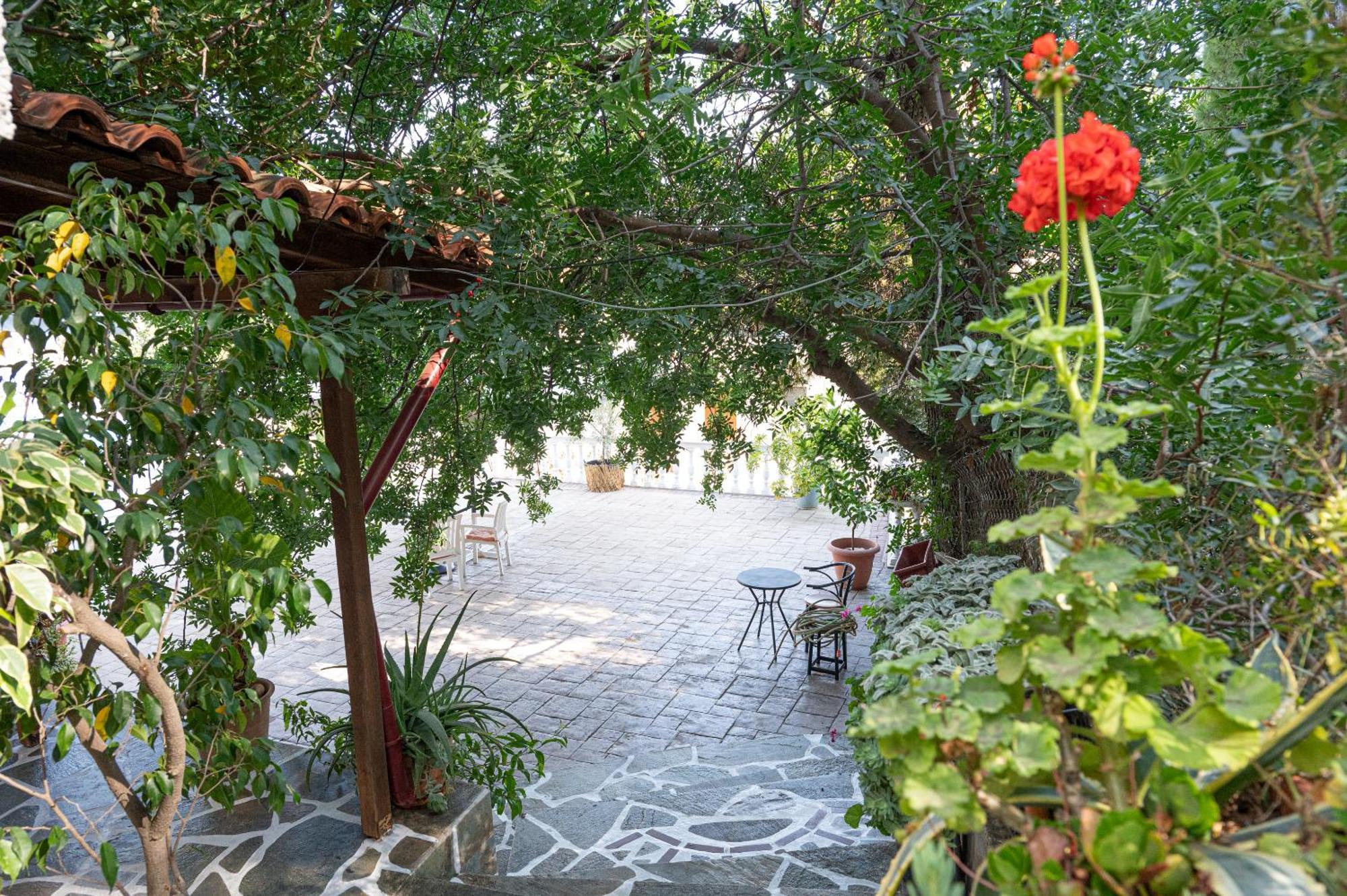 Lions 2 Studios & Apartments, Poros Island. Poros Town 外观 照片